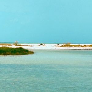 Dog Beach Dunedin Florida - Matt Gicle'e Print