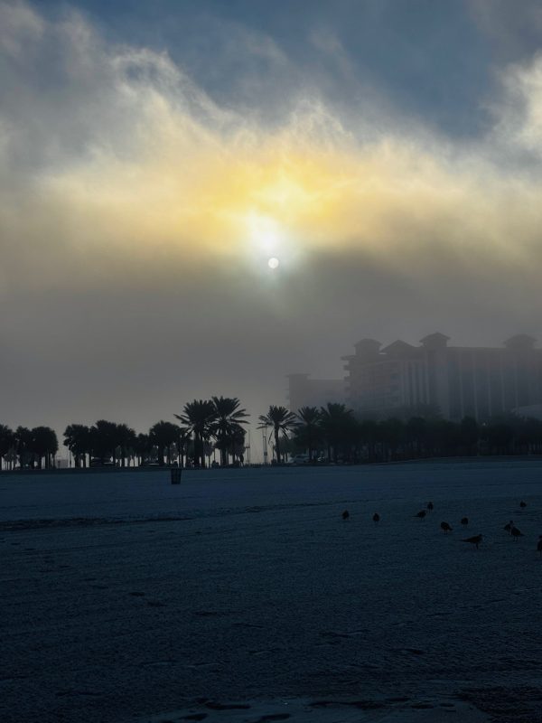 Fog on Clearwater Beach - Canvas Print