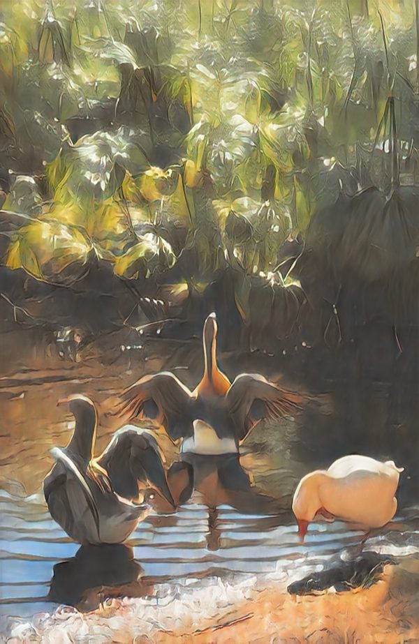 Glorious Geese  - Matt Gicle'e Print